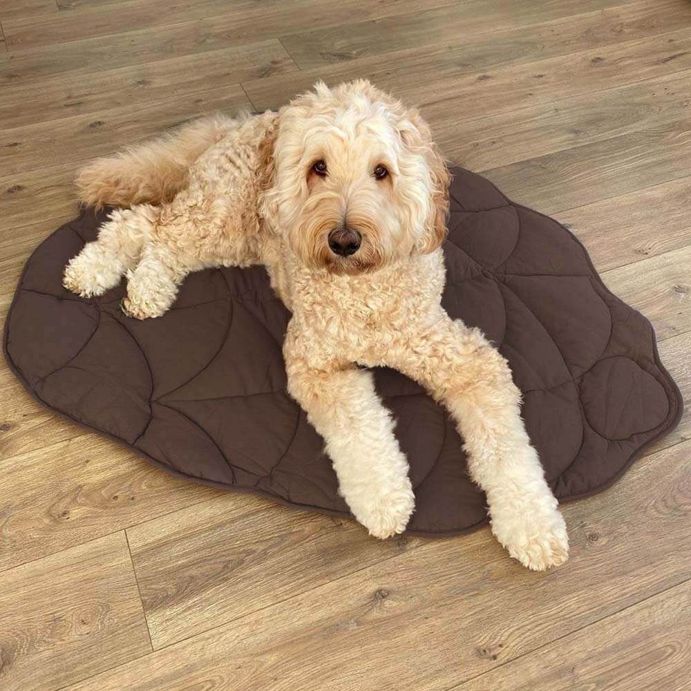 Soft Plush Pet Bed for Dogs & Cats – HavenSphere™