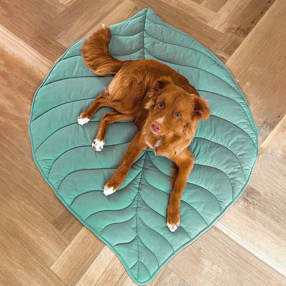 Soft Plush Pet Bed for Dogs & Cats – HavenSphere™