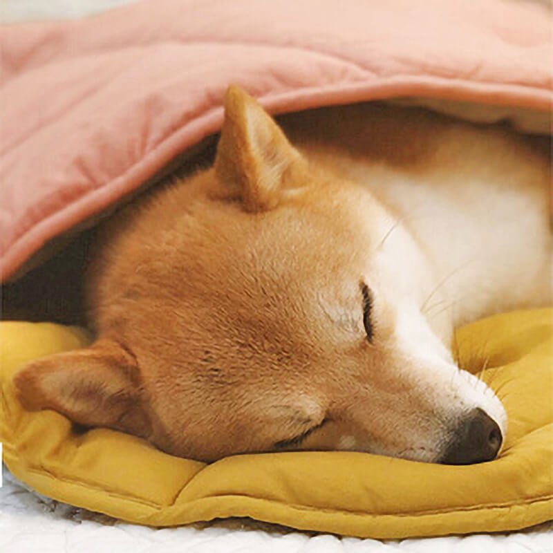 Soft Plush Pet Bed for Dogs & Cats – HavenSphere™