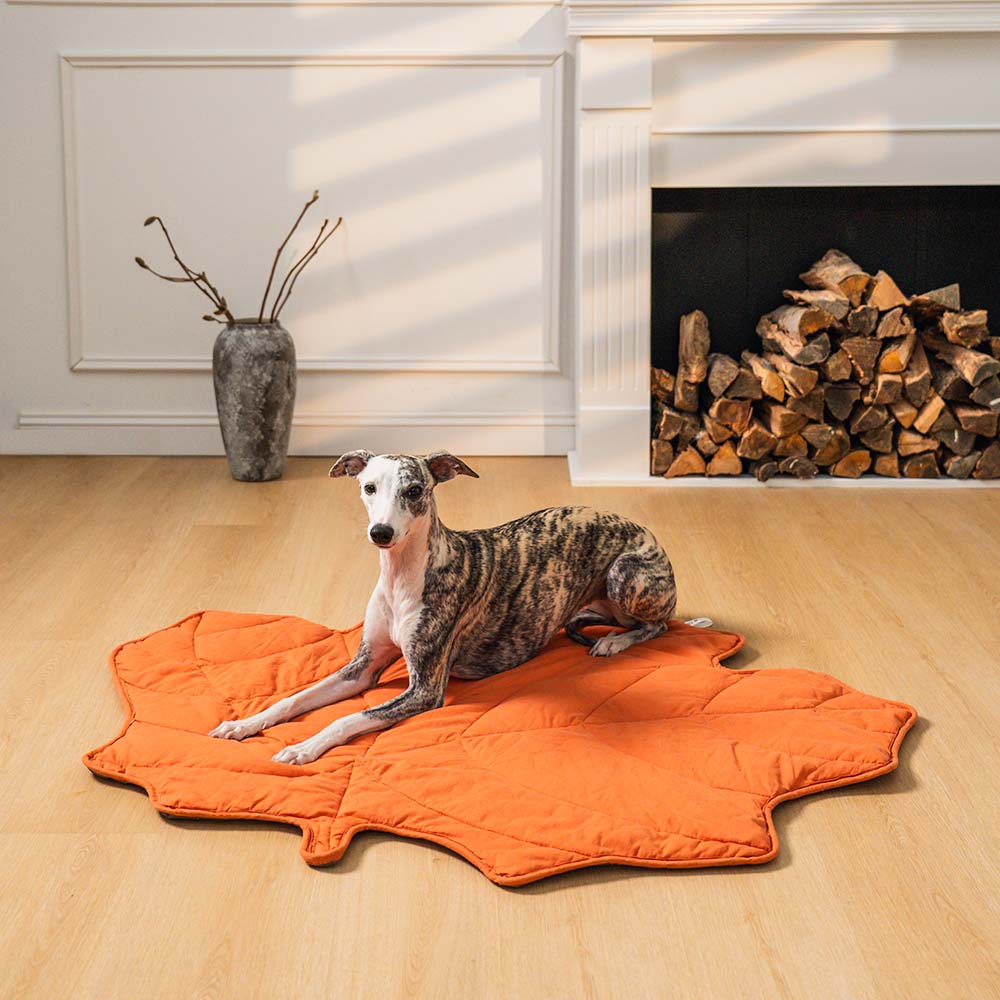Soft Plush Pet Bed for Dogs & Cats – HavenSphere™