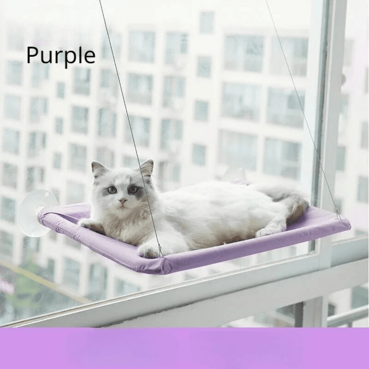 Tailented SoftPeak™ – Pet Window Hammock for Cats
