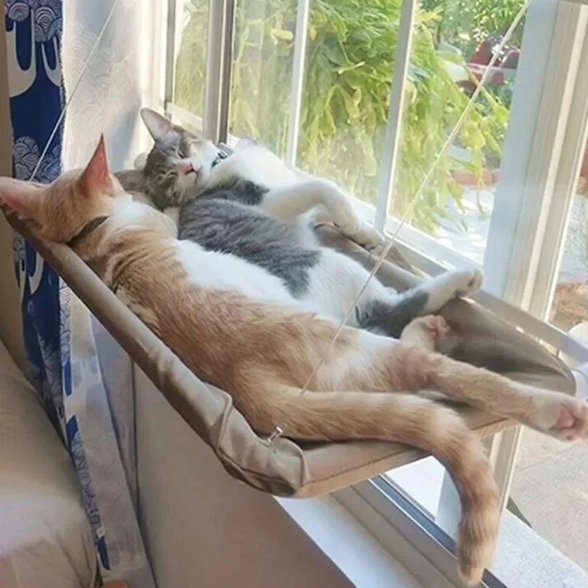 Tailented SoftPeak™ – Pet Window Hammock for Cats