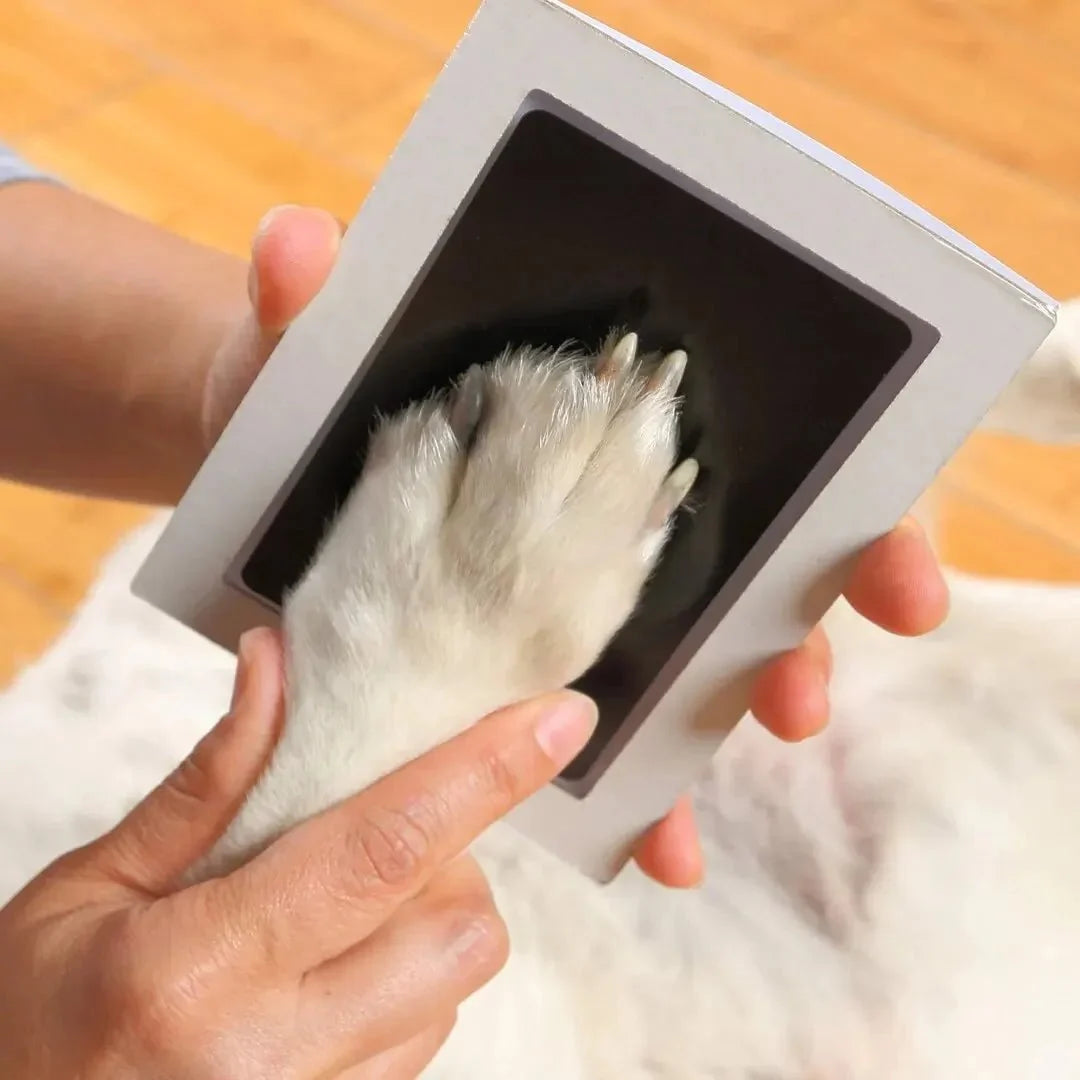 Pet Paw Print Inkless Keepsake Kit – ReadyMate™