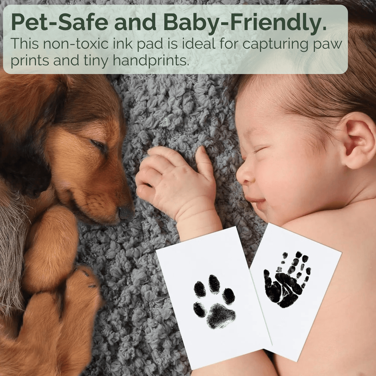 Pet Paw Print Inkless Keepsake Kit – ReadyMate™