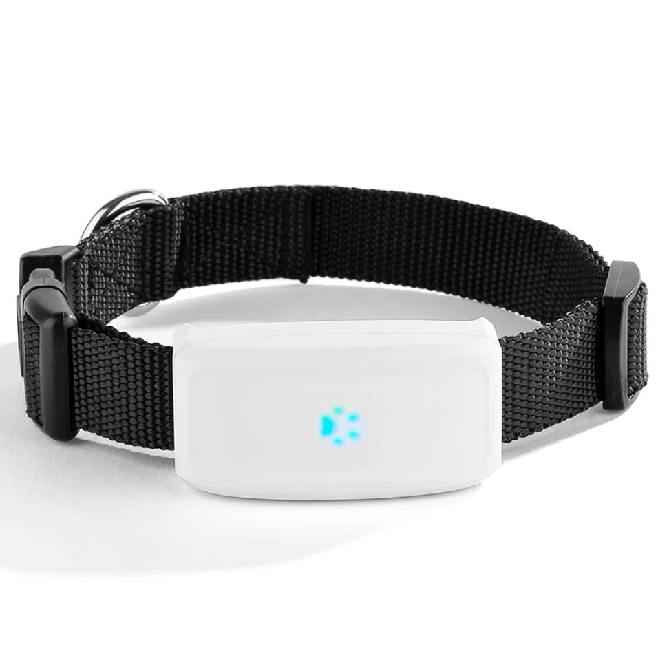 Waterproof 2G GPS Pet Tracker for Dogs & Cats – MapMotion™