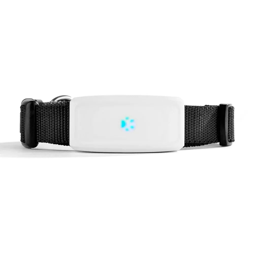 Waterproof 2G GPS Pet Tracker for Dogs & Cats – MapMotion™