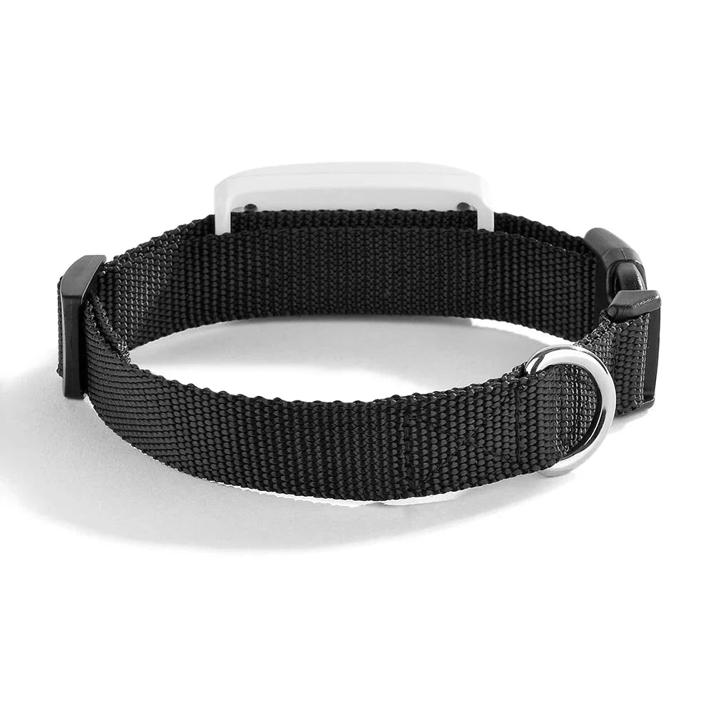 Waterproof 2G GPS Pet Tracker for Dogs & Cats – MapMotion™