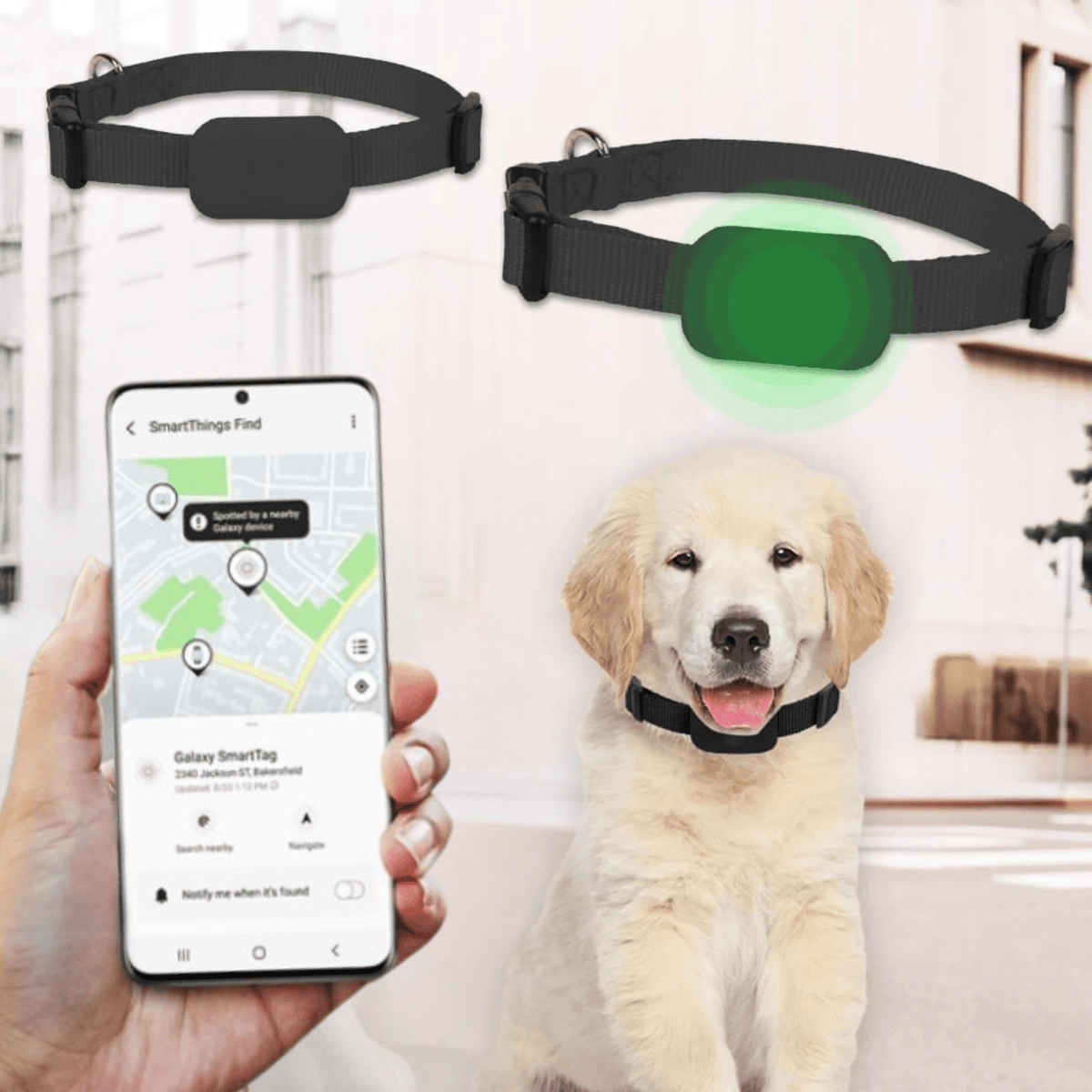 GPS Pet Tracker for Android Devices – GuideTrail™