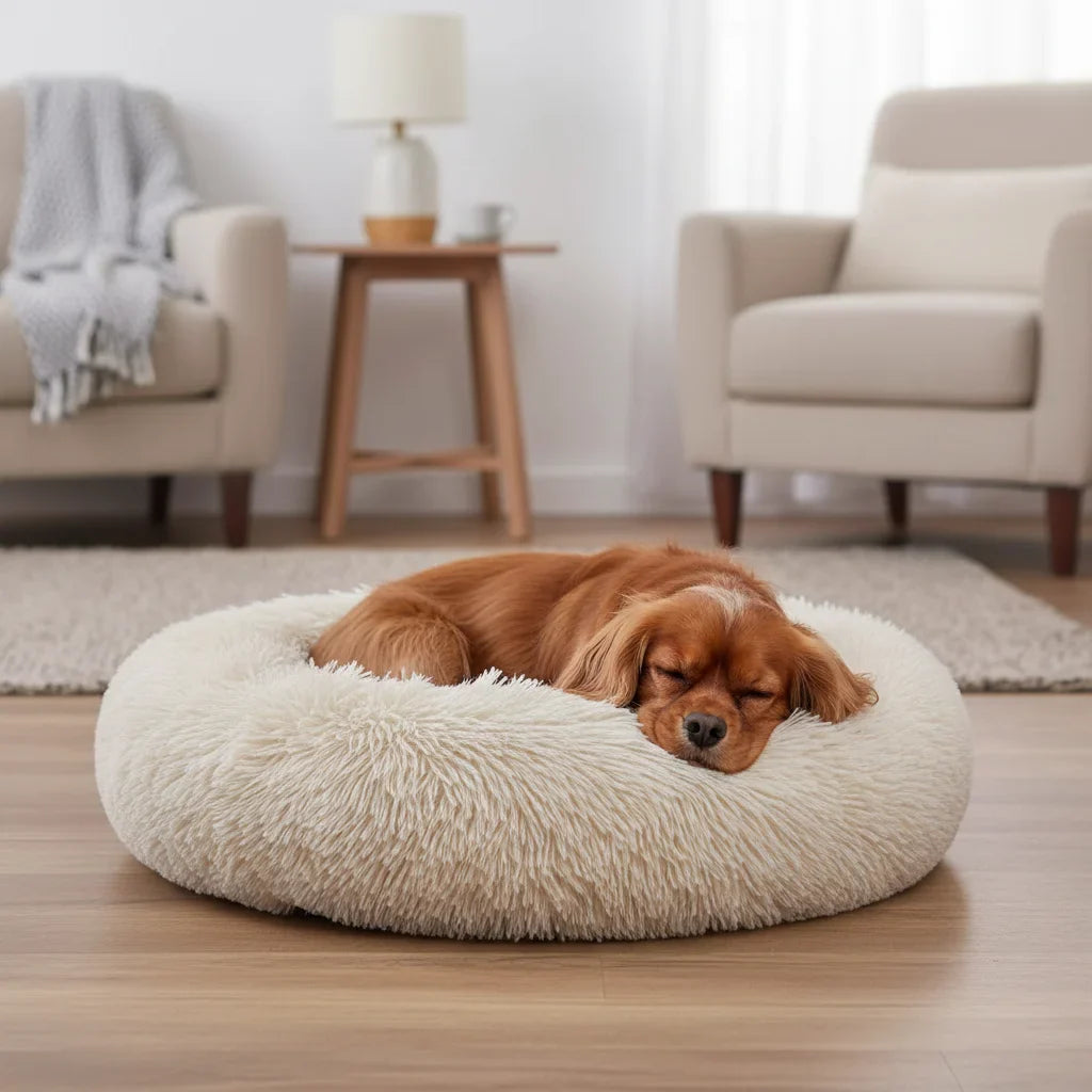 Calming Donut Dog & Cat Bed – LoungeStyle™