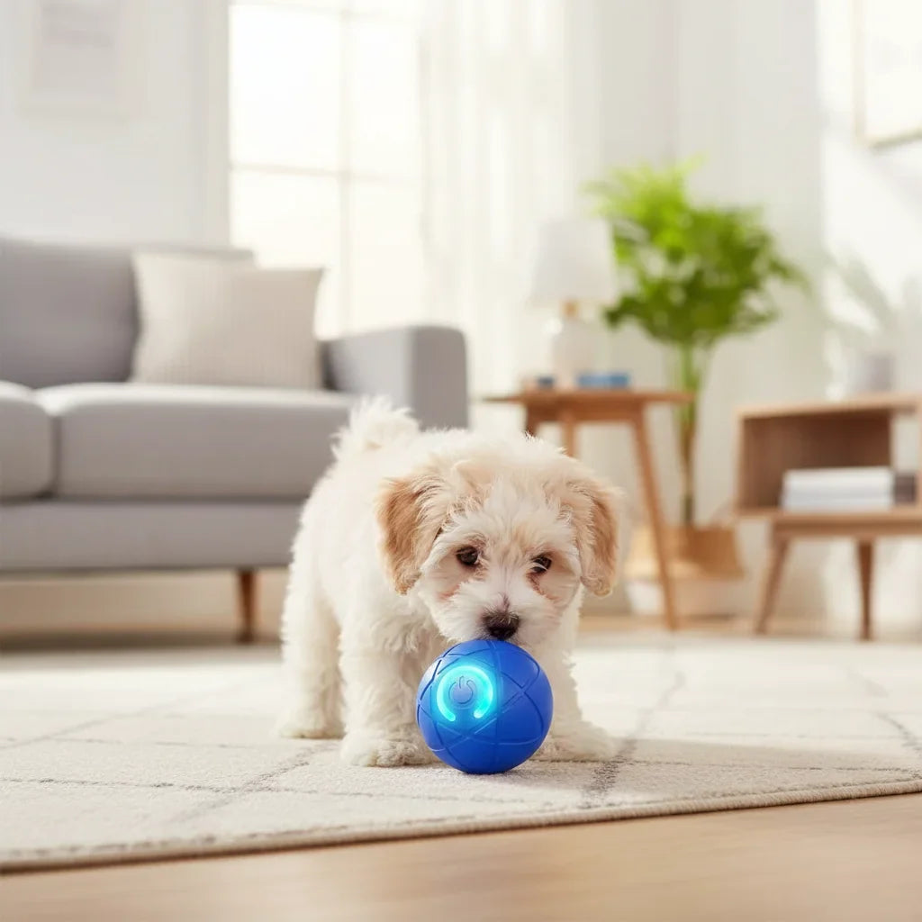 Interactive Rolling LED Ball for Dogs – PurrStyle™