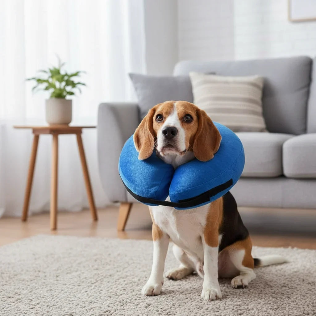 Inflatable Protective Collar for Dogs & Cats – TrailGo™
