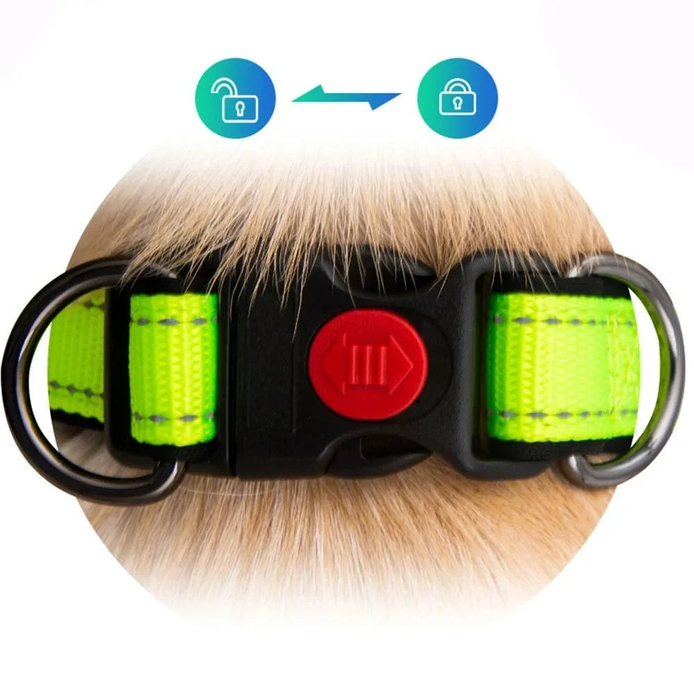 Reflective Dog Collar for Everyday Walks – TrailPeak™