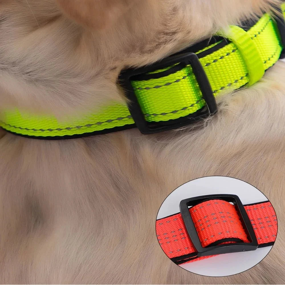 Reflective Dog Collar for Everyday Walks – TrailPeak™