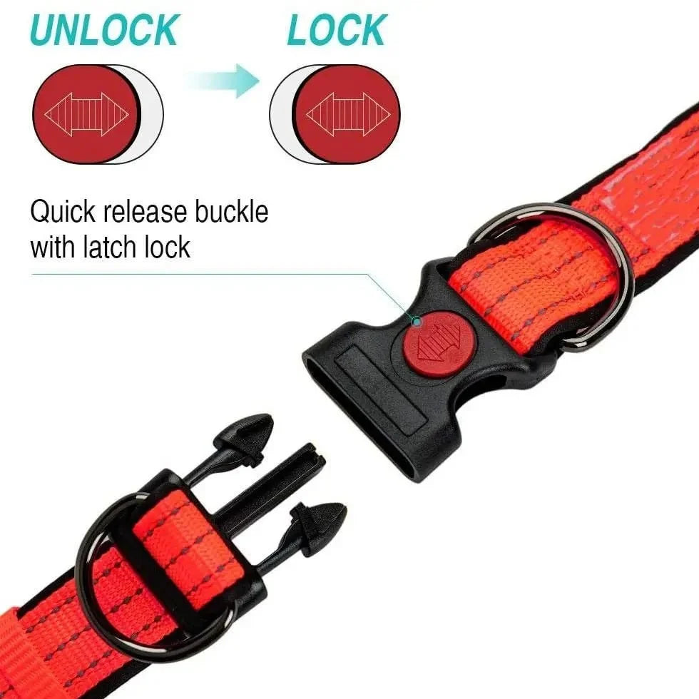 Reflective Dog Collar for Everyday Walks – TrailPeak™