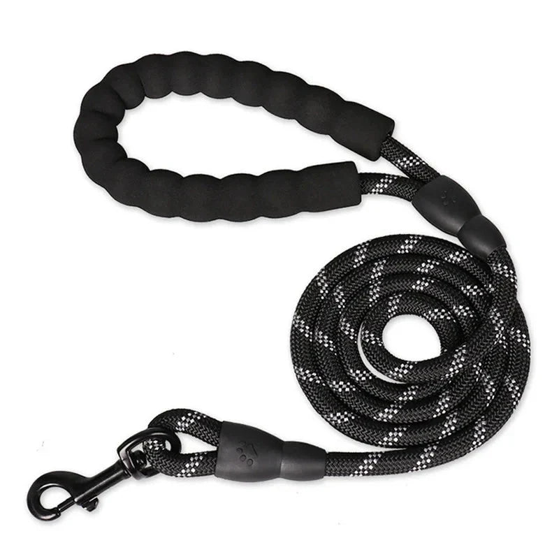Reflective Dog Leash with Padded Handle – RouteReady™