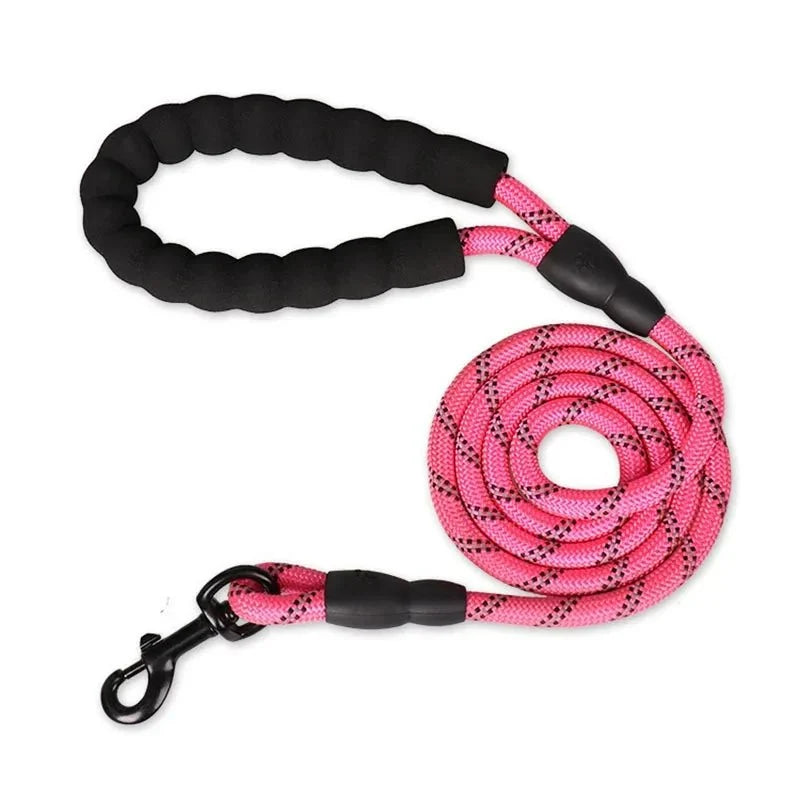 Reflective Dog Leash with Padded Handle – RouteReady™