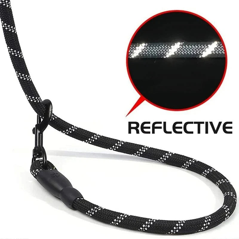 Reflective Dog Leash with Padded Handle – RouteReady™