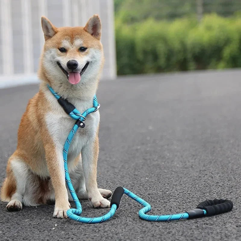 Tailented TrailMotion™ – 180cm Reflective Dog Leash for Pets