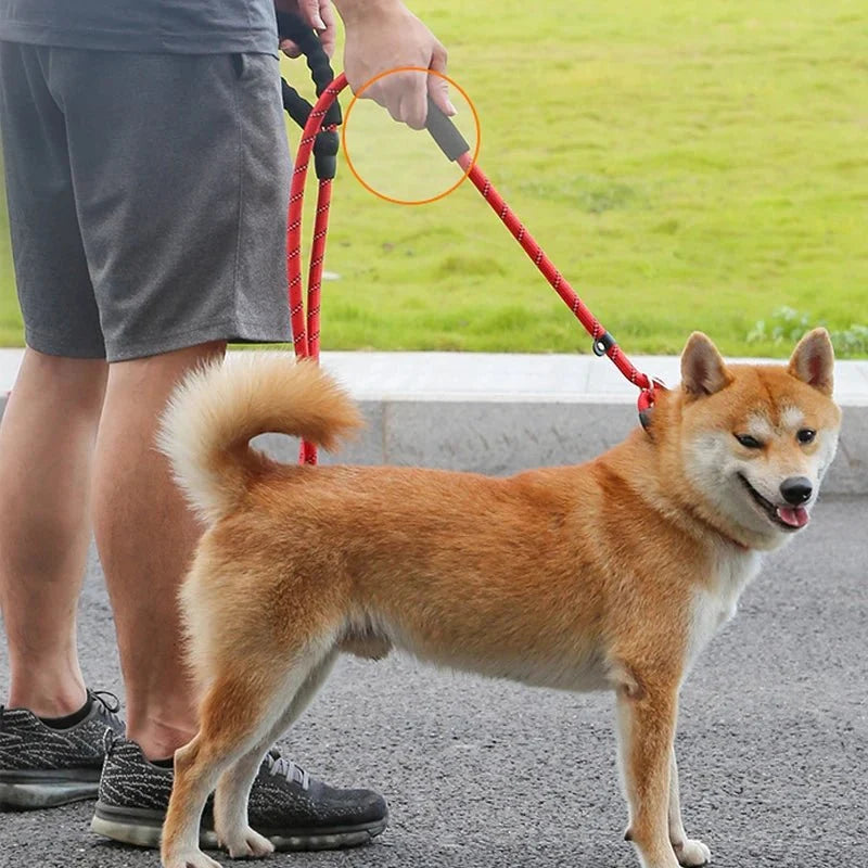 Tailented TrailMotion™ – 180cm Reflective Dog Leash for Pets