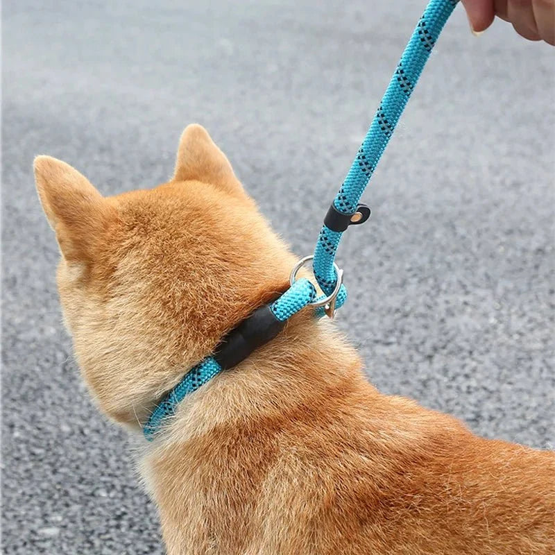Tailented TrailMotion™ – 180cm Reflective Dog Leash for Pets