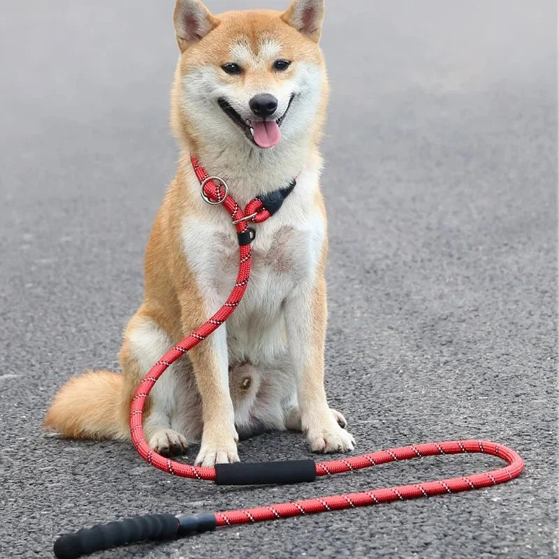 Tailented TrailMotion™ – 180cm Reflective Dog Leash for Pets