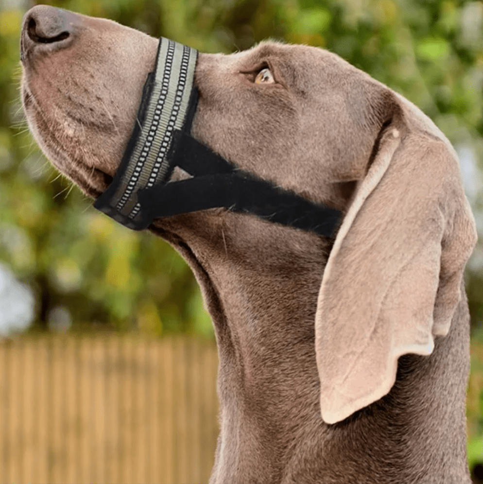 Reflective Adjustable Dog Muzzle – TrekStyle™