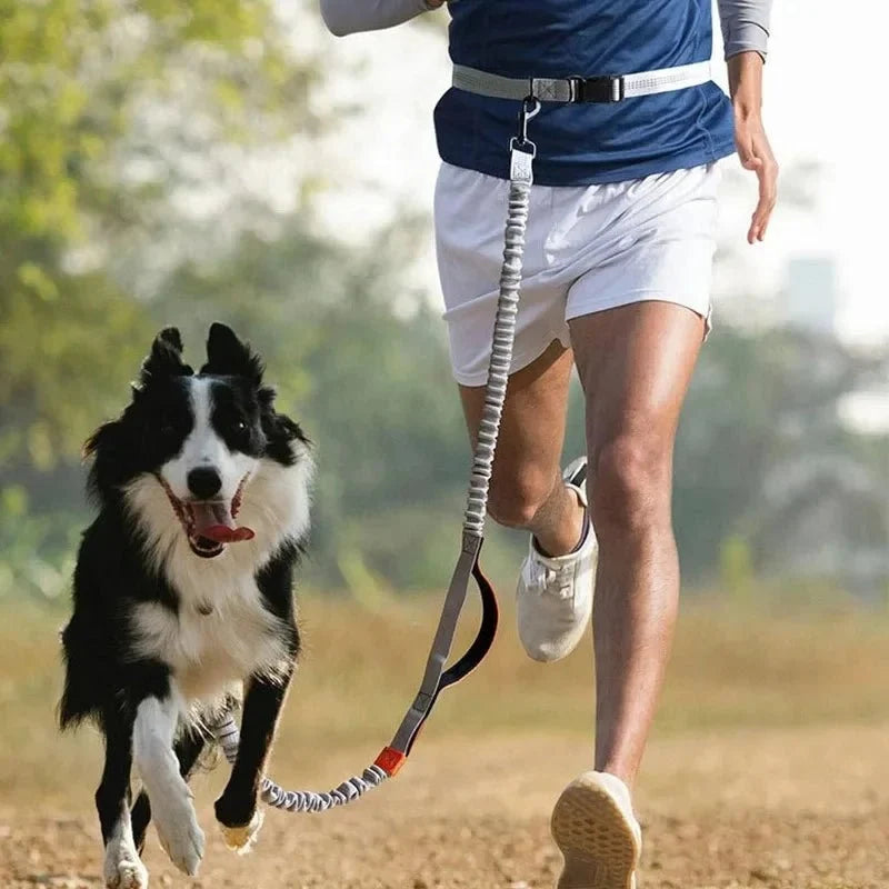 Hands-Free Bungee Dog Leash for Running – MotionTrail™