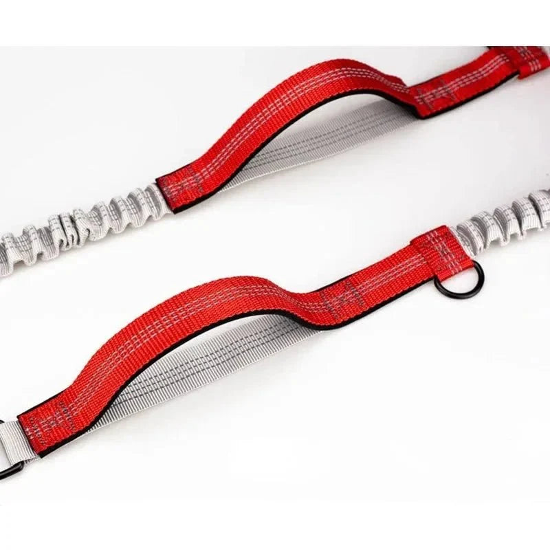 Hands-Free Bungee Dog Leash for Running – MotionTrail™