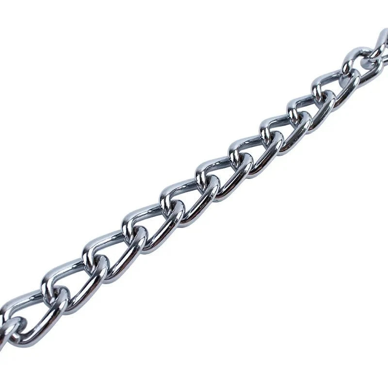 Stainless Steel Slip Chain Dog Collar – LeadPro™