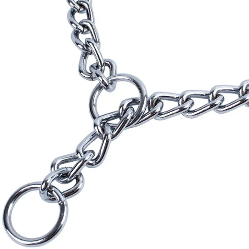 Stainless Steel Slip Chain Dog Collar – LeadPro™