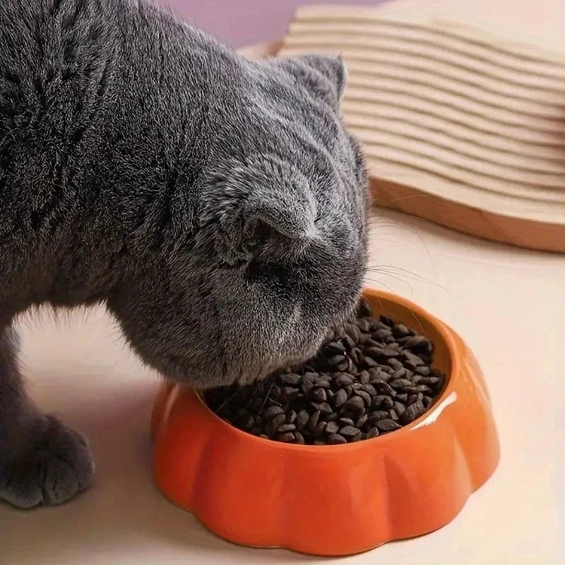 Cute Ceramic Pet Food Bowls – PureActive™
