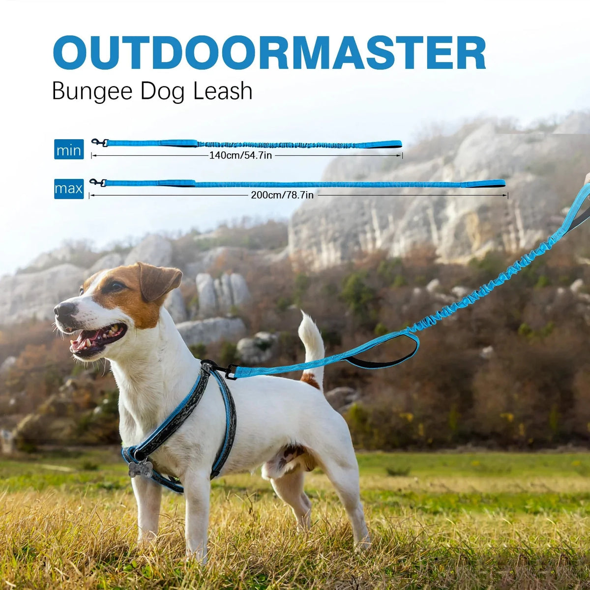 Tailented LeadDaily™ – No-Pull Shock-Absorbing Dog Leash for Pets