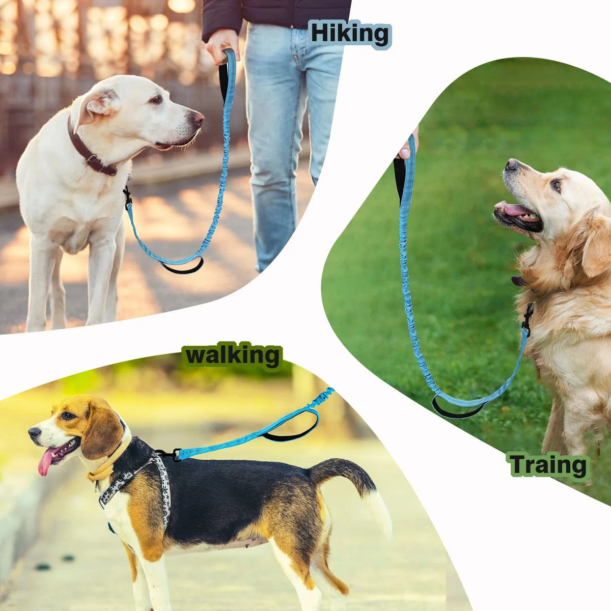 Tailented LeadDaily™ – No-Pull Shock-Absorbing Dog Leash for Pets