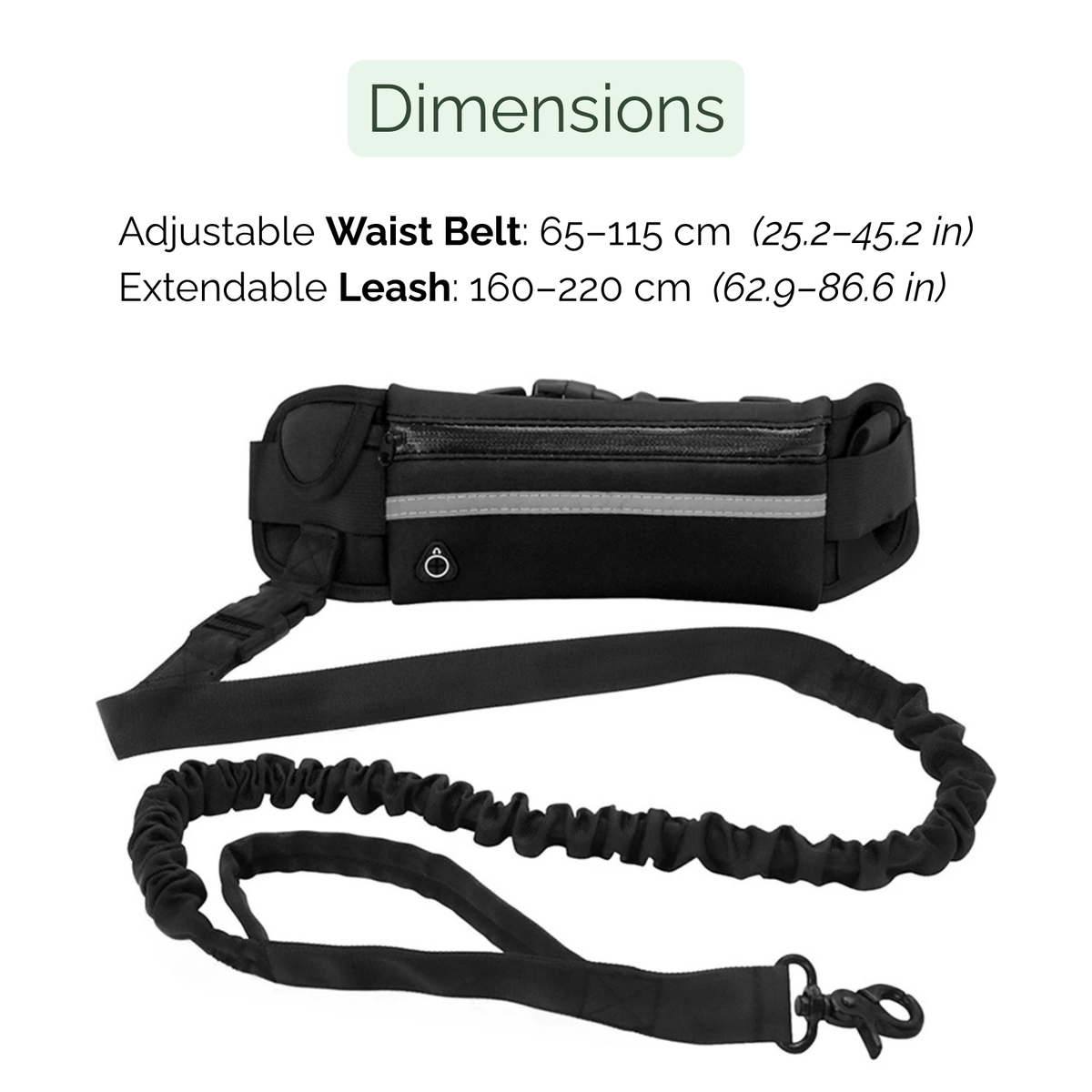 Tailented TrailReady™ – Hands-Free Shock-Absorbing Dog Leash for Pets