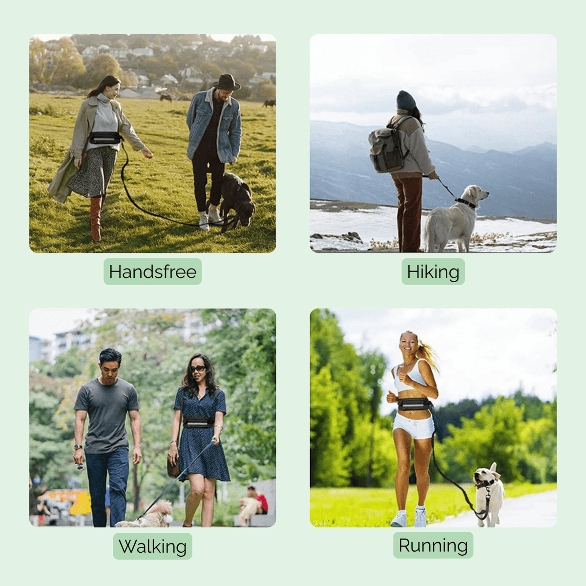 Tailented TrailReady™ – Hands-Free Shock-Absorbing Dog Leash for Pets