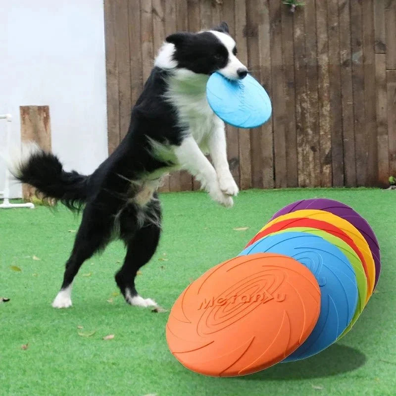 Flexible Silicone Flying Disc Dog Toy – PurrTrail™