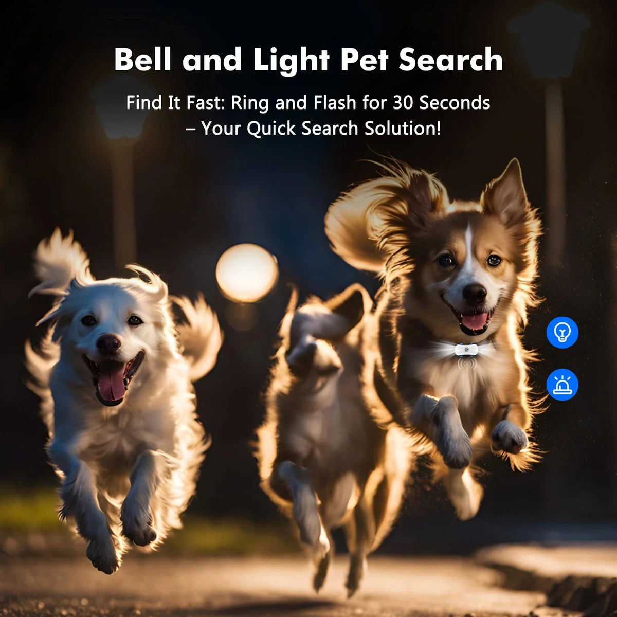 4G GPS Pet Tracker for Dogs & Cats – BeaconQuest™