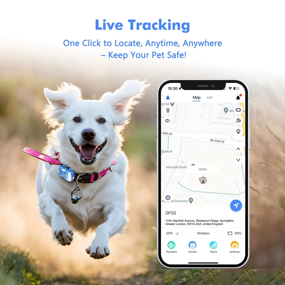 4G GPS Pet Tracker for Dogs & Cats – BeaconQuest™