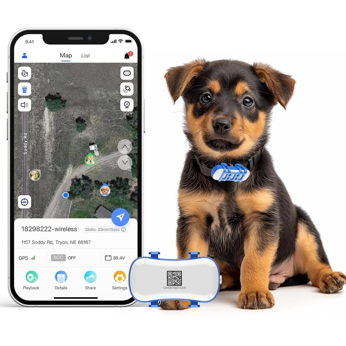 4G GPS Pet Tracker for Dogs & Cats – BeaconQuest™