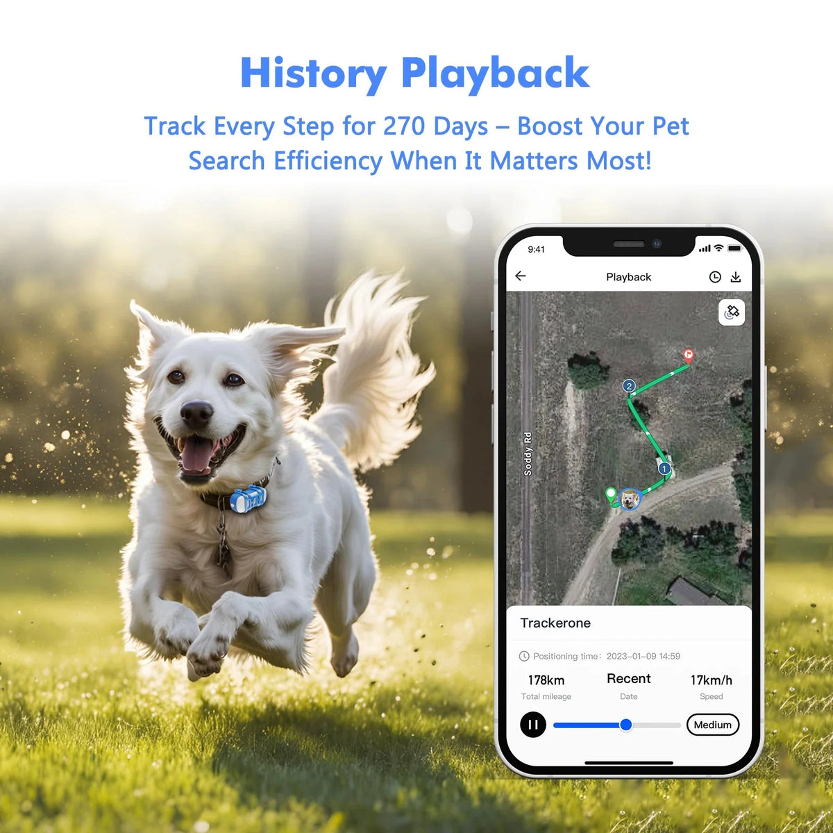 4G GPS Pet Tracker for Dogs & Cats – BeaconQuest™