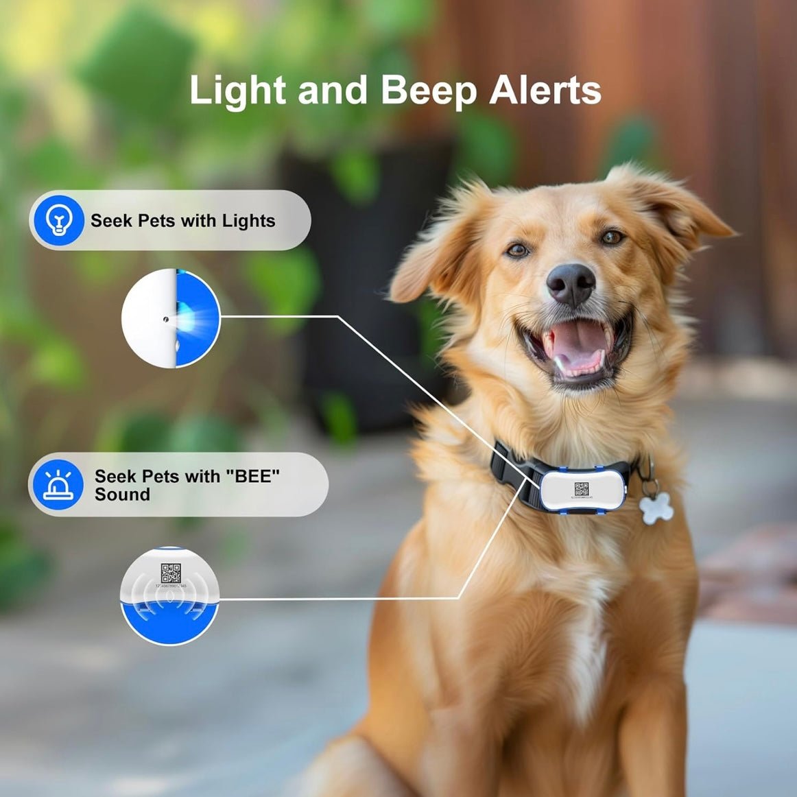 4G GPS Pet Tracker for Dogs & Cats – BeaconQuest™