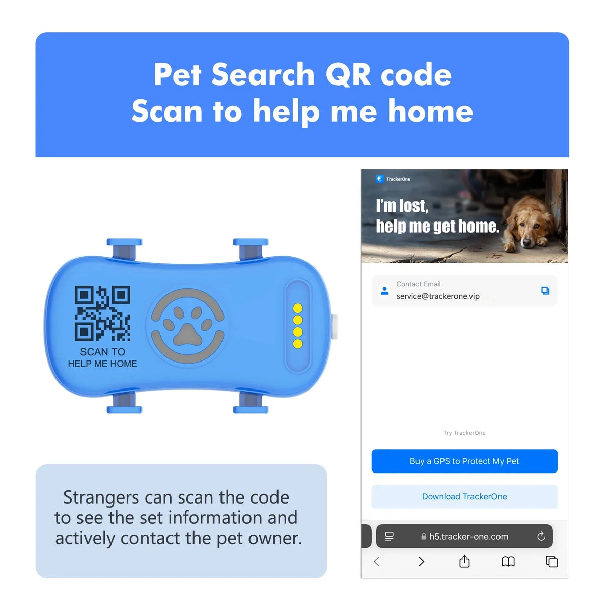 4G GPS Pet Tracker for Dogs & Cats – BeaconQuest™