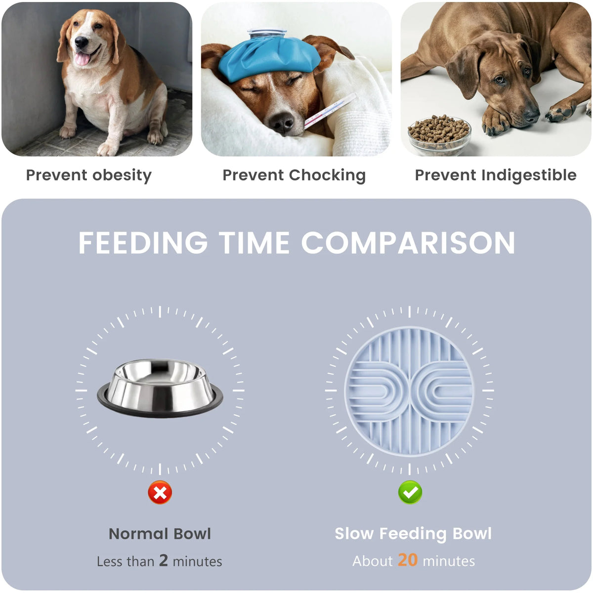 Silicone Slow Feeder Lick Mat for Dogs & Cats – DishPrime™