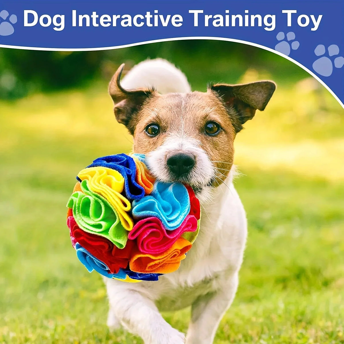 Interactive Snuffle Ball for Dogs – DineActive™