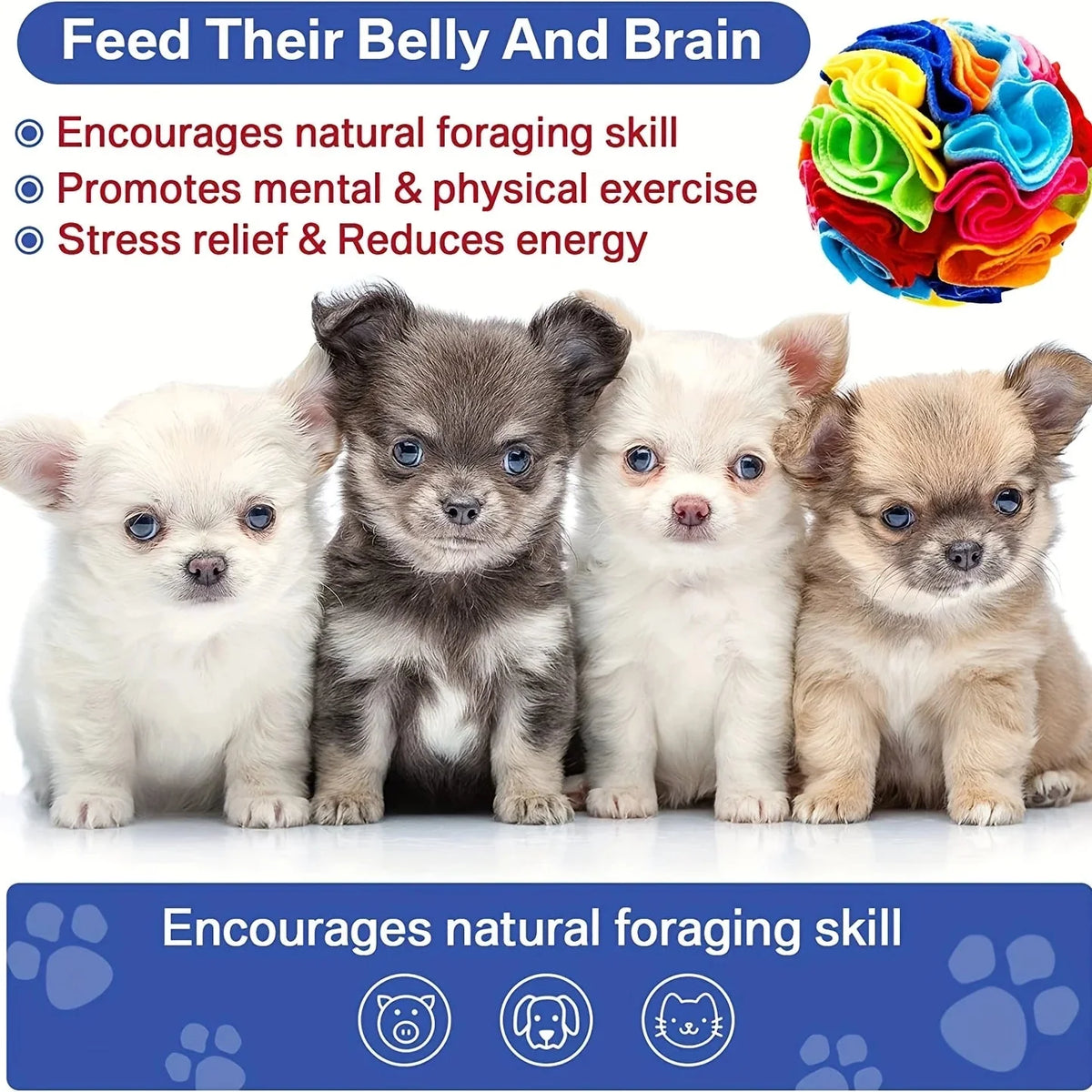 Interactive Snuffle Ball for Dogs – DineActive™