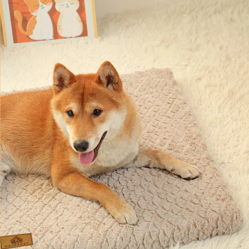 Orthopedic Dog Cushion Bed – DreamPeak™