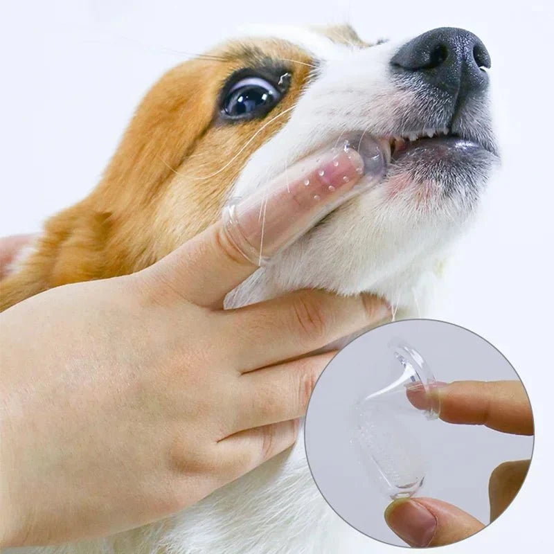 Tailented LifeShield™ – Pet Grooming Brush for Dogs & Cats