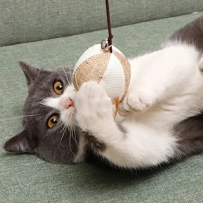 Feather Cat Wand Toy – BouncePath™