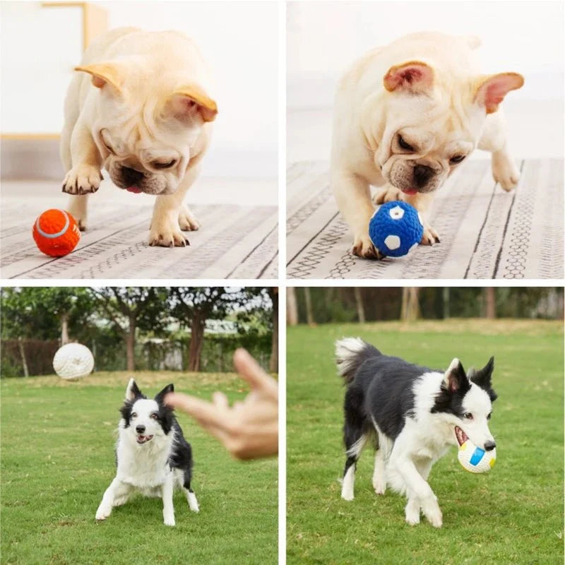 Squeaky Latex Sports Ball Dog Toy – BrainPort™
