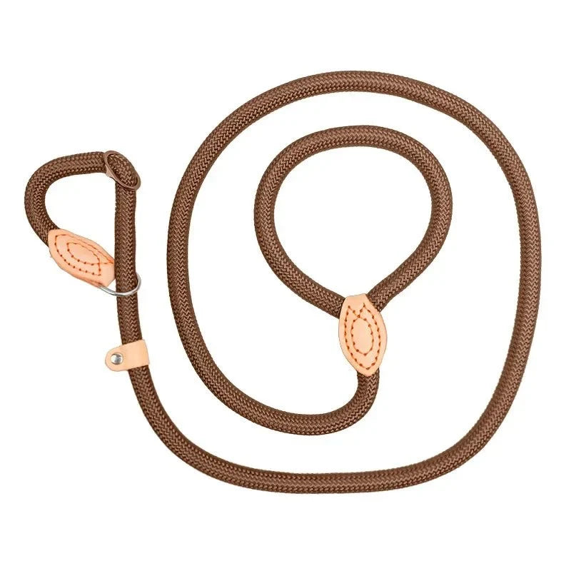 Heavy-Duty Adjustable Slip Lead for Medium & Large Dogs – StrideGlow™